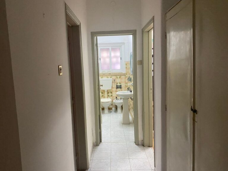 323785154_831488431284775_765360060378693665_n